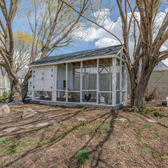 Square White puffy clouds Small white chicken coop in the middle of large trees at the backyard © Jason