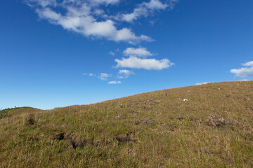Obraz premium Countryside, pasture for cattle, blue sky with clouds.