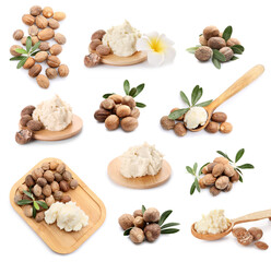 Set of shea nuts and butter isolated on white