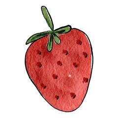 Strawberry hand drawn watercolor on white background. Vector illustration.