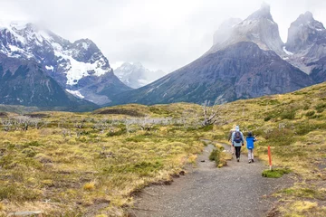 Papier Peint photo autocollant Cuernos del Paine Route vers le point de vue Los Cuernos, parc national Torres del Paine en Patagonie chilienne
