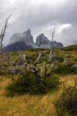Crédence de cuisine en verre imprimé Cuernos del Paine Route vers le point de vue Los Cuernos, parc national Torres del Paine en Patagonie chilienne