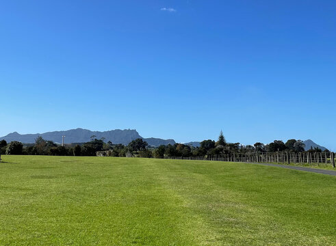 Manaia 이미지 찾아보기 173 스톡 사진, 벡터 및 비디오 Adobe Stock