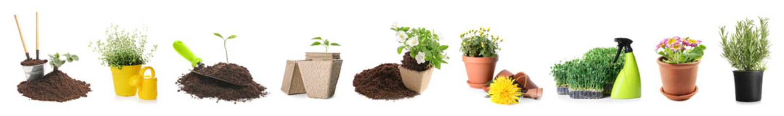Set of different gardening tools, soil and plants isolated on white