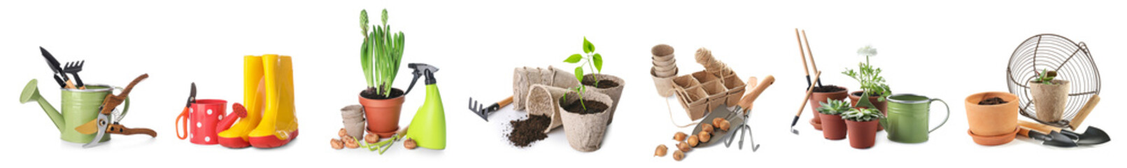 Set of different gardening tools and plants isolated on white