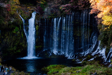 waterfall in the forest