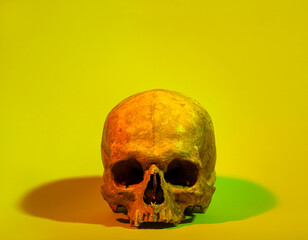 Ancient human skull on color background