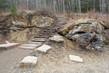Obraz premium Natural Stone Steps in Nature Park Forest