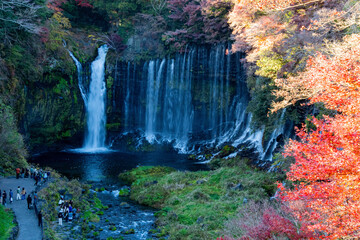 Fototapeta premium waterfall in the forest