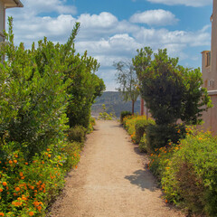 Square White puffy clouds Dirt path in the middle of shrubs and bushes with yellow flowers