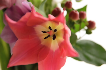 Fototapeta na wymiar Tulips, mix flowers bouquet