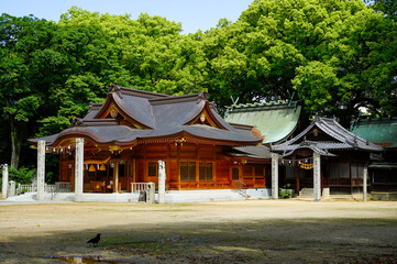 Fototapeta premium 一宮神社