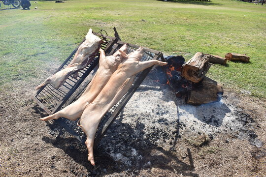 lech&oacute;n y cordero asado