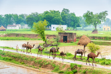 The Republic of India is the seventh largest country in the world by area and, with over a billion people, is second only to China in population