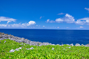 沖縄県辺戸岬から望む与論島