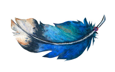flying blue jay feather with spots, watercolor illustration isolated on white background