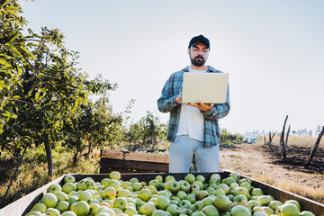 Young latin farmer man teleworking on his laptop beside an apple bin