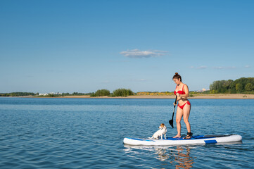 Dog jack russell terrier swims on the board with the owner. A woman and her pet spend time together...