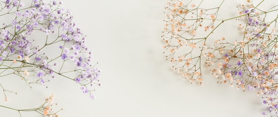 Flowers background banner.Violet gypsophila flowers or baby's breath flowers close up frame on...