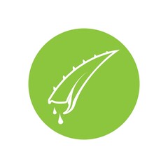 aloe vera logo design icon vector