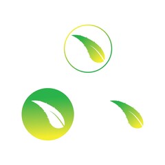 aloe vera logo design icon vector