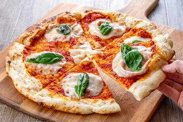 ピザ　ピザ・マルゲリータ