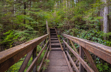 Eco path wooden walkway in park of British Columbia. Ecological trail path route walkways laid in the forest
