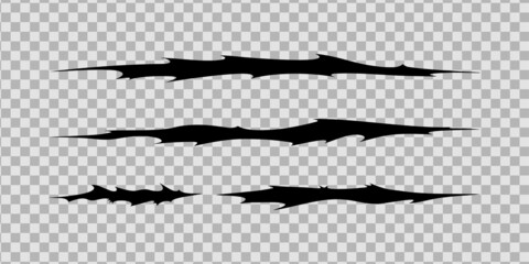 Claw scratches of wild animal. Cat scratches marks isolated in transparent background. Monochrome vector illustration