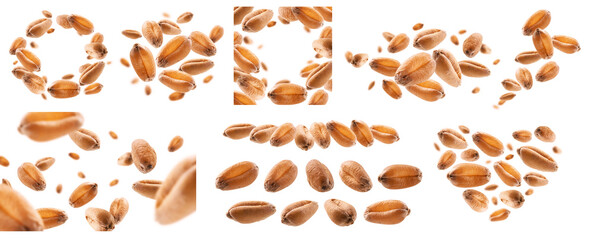 A set of photos. Wheat grains levitate on a white background