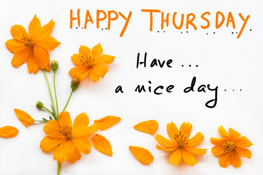 happy thursday have a nice day message card handwriting with orange cosmos flowers arrangement flat lay postcard style on background white