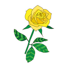 1輪の黄色いバラ（手描き）