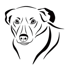 Portrait of a cute dog. Black and white drawing. Vector graphics