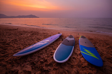 Variety colorful sup board water extreme sport put on beach sand seaside with twilight sky...