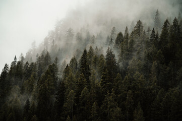 Misty forest. Foggy mountain landscape, Dolomites mountains, lago di braies, Sudtirol, Italy.