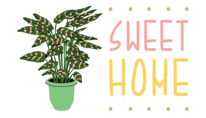 Plant phrase. Trendy house plant and motivation quote sweet home. Hand drawing print design. Home and stationery decor. Flat style in vector illustration. Isolated elements.