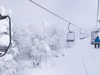Frozen trees beside chairlifts on a cloudy day (Zao-onsen ski resort, Yamagata, Japan)