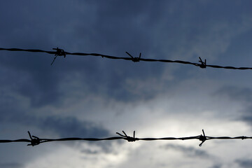 barbed wire black sky background