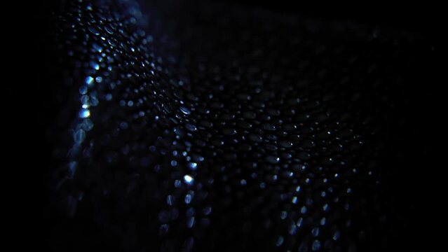 Glowing pattern of snakeskin in macro close up motion view
