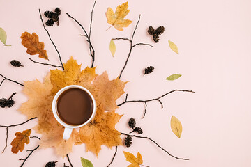 Fototapeta na wymiar Autumn flat lay with dry leaves, hot coffee cup and cones on pastel beige background wall in studio with copy space for advertisement. Thanksgiving, fall, halloween concept. Creative composition