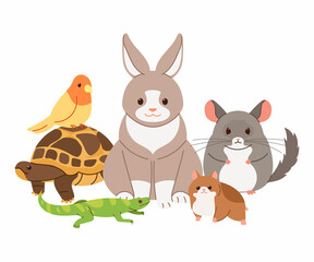 Naklejka premium Cute little pets vector illustration. Rabbit, turtle, lizard, chinchilla, hamster, bird.