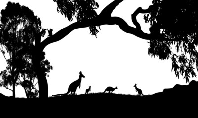 silhouette of kangaroos white background