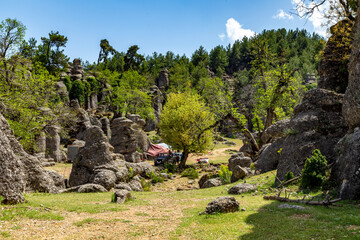 landscape with trees