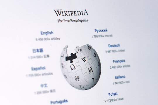 Detail of computer monitor with wikipedia