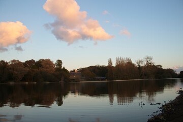 autumn trees reflected in water