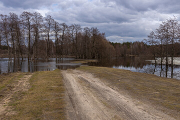 The dirt road was flooded by a river overflowing its banks. Cloudy spring evening, flood. Trees without foliage in early spring in the background.