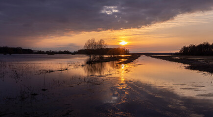 Dramatic evening landscape. The sunset sky is reflected in the water. Silhouettes of fabulous trees...