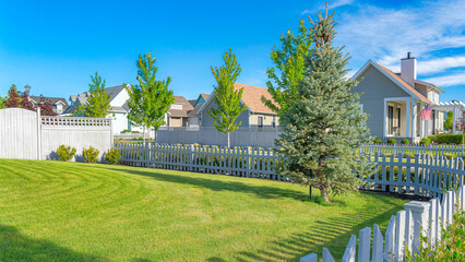 Panorama Whispy white clouds White picket fence of a yard with green lawn and pine tree at...