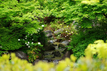 東京、赤坂にある東京ミッドタウン