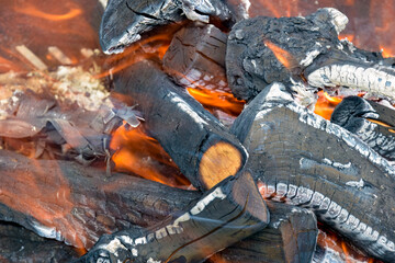 Bonfire made of branches of fruit trees. Orange flame flutters in wind. Process of preparing coals for barbecue. Close-up. Selective focus.