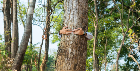 Nature lover hugging trunk tree with green musk in tropical woods forest. Concept of people love nature.Human love environment.